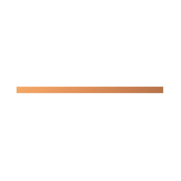 STRIEBEL & JOHN Kupferschiene 20x5mm L:454mm ZX2065
